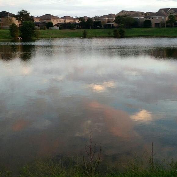 Meet your Posher, Maria - Picture 4 of 5